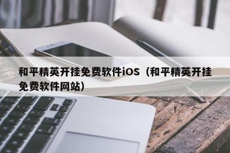 和平精英辅助器ios版（和平精英下载辅助器ios）